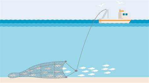 thrawl fishing|Fishing Gear: Bottom Trawls .